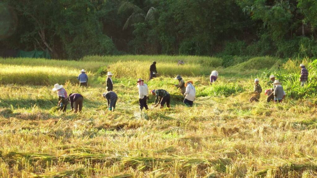 Northern Thailand Mountain Cycling Tour 4 Days